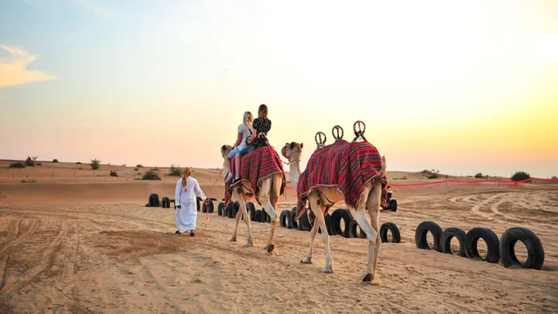 Travelers enjoying a camel safari across the Arabian Desert near Dubai