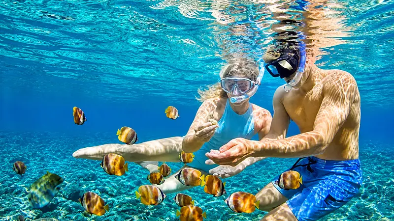 Snorkeling with tropical fish in Koh Phangan