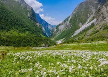 Chardham with Valley of Flowers Tour Package