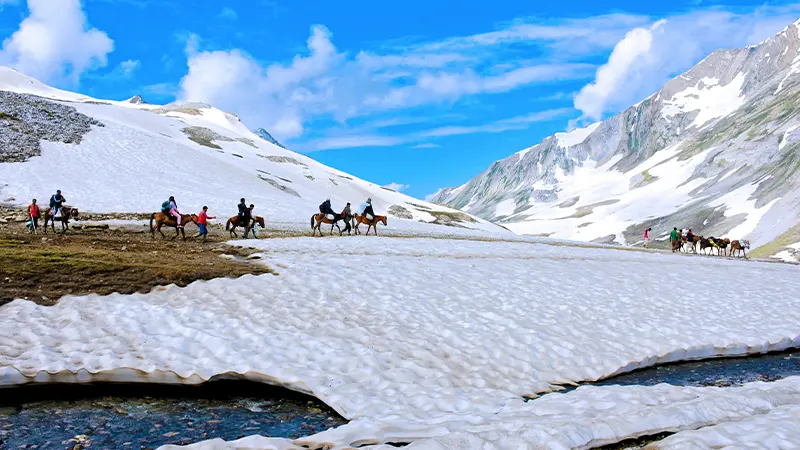Pilgrims travelling on ponies along the snowy Amarnath Yatra route