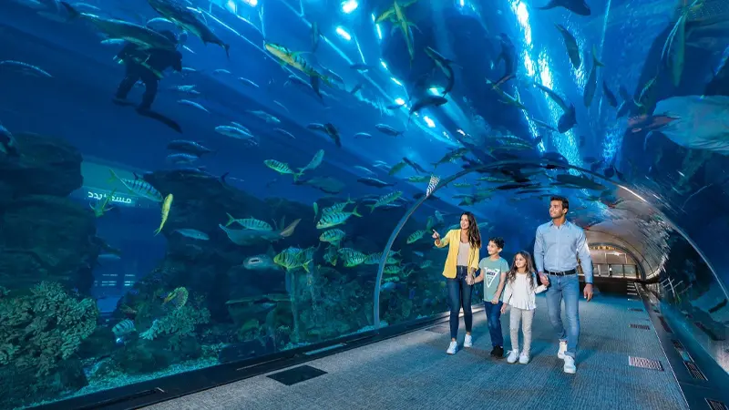 Family exploring the underwater tunnel at Dubai Aquarium and Underwater Zoo
