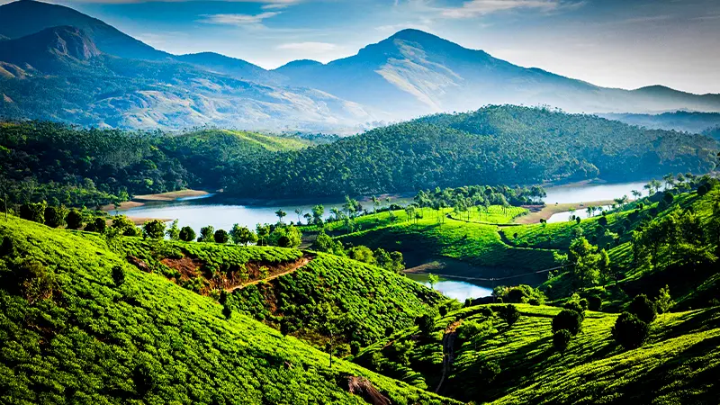 Emerald valley reservoir surrounded by mountains and plantations