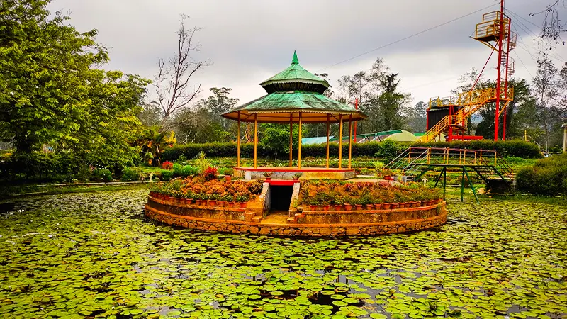 Beautiful lily pond garden surrounded by lush tropical greenery