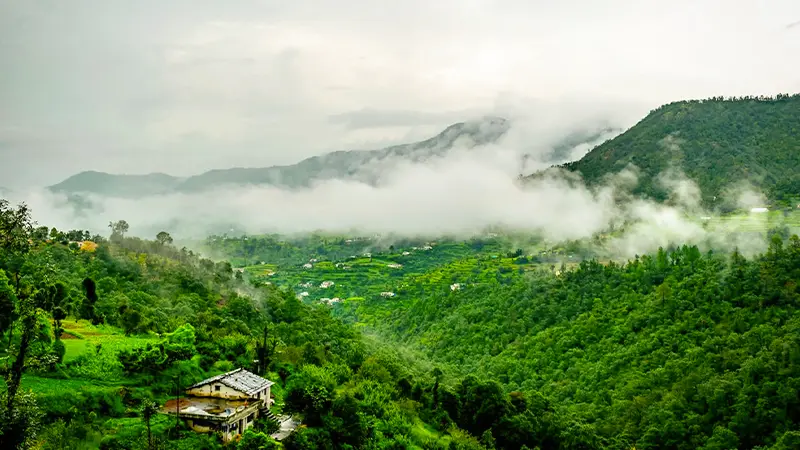 Cloud-covered mountain valley with lush green forests in the Himalayas