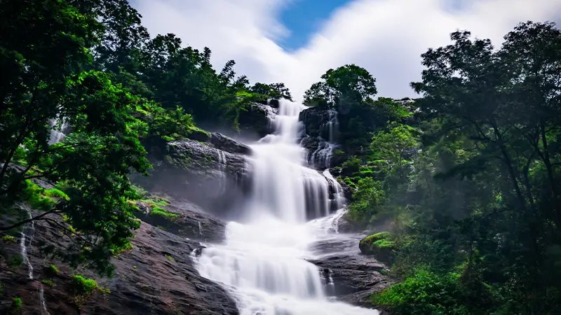 Multi-tier jungle waterfall cascading through evergreen forest landscape