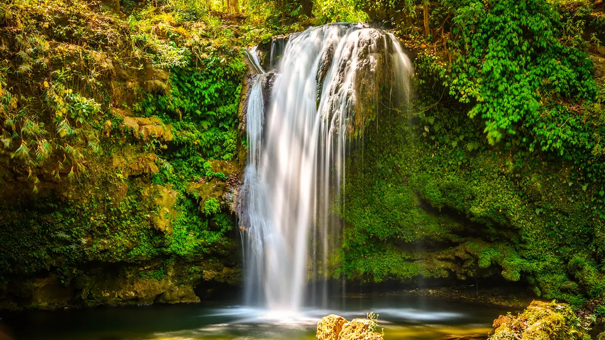 Corbett Falls Ramnagar