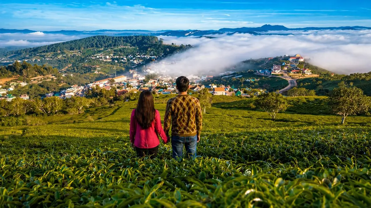 Highland Tea Garden Panorama