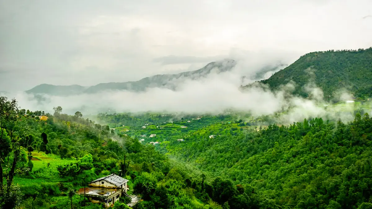 Misty Mountain Valley Kumaon Hills