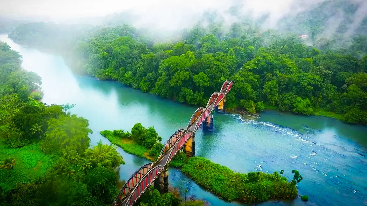 Misty River Forest Crossing