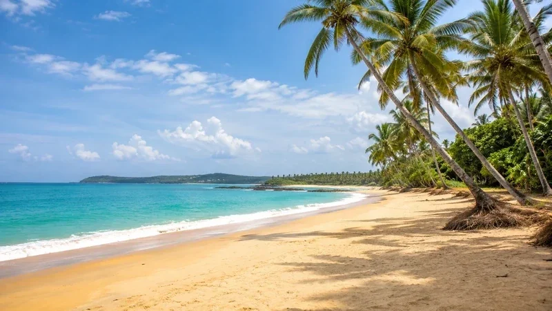 Top 10 Beaches to Visit in Kerala