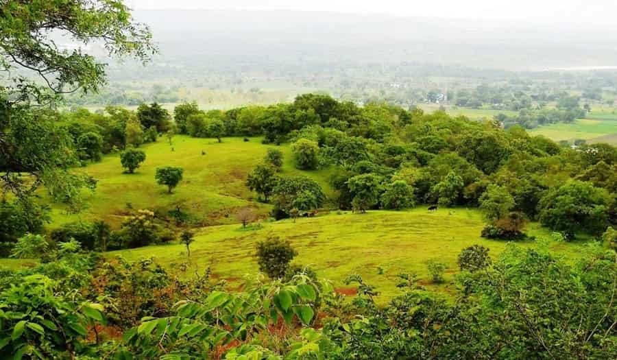 Ananthagiri Hills