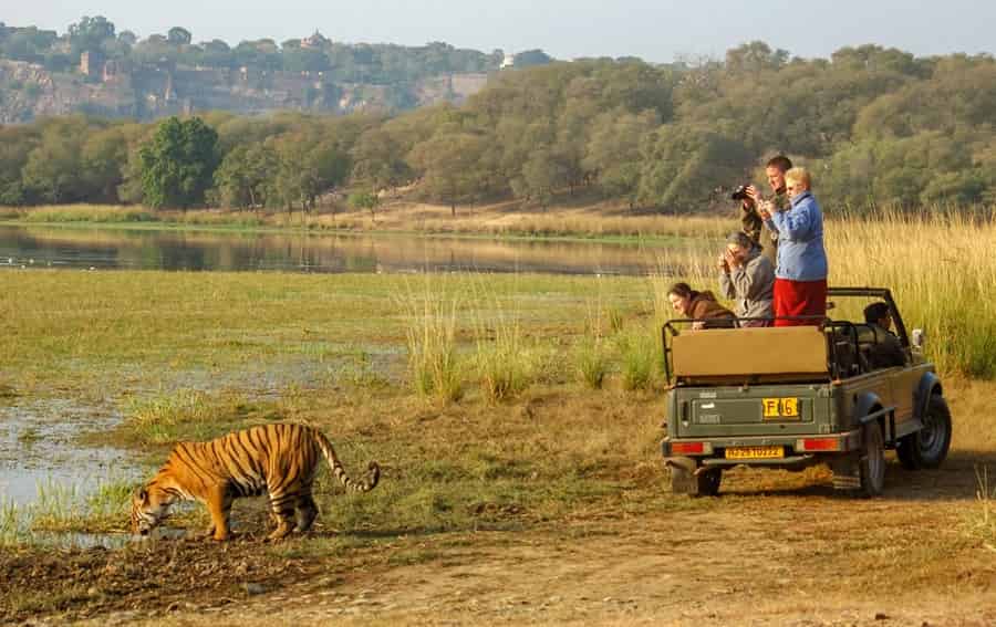 Ranthambore Natoinal Park