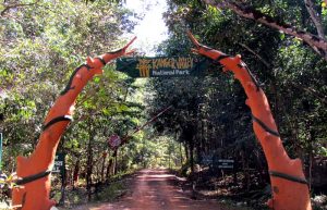 Kanger Ghati National Park: A Hotspot For Biodiversity