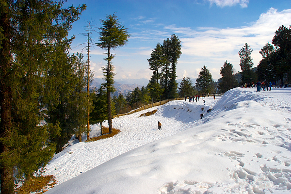 Kufari, Himachal