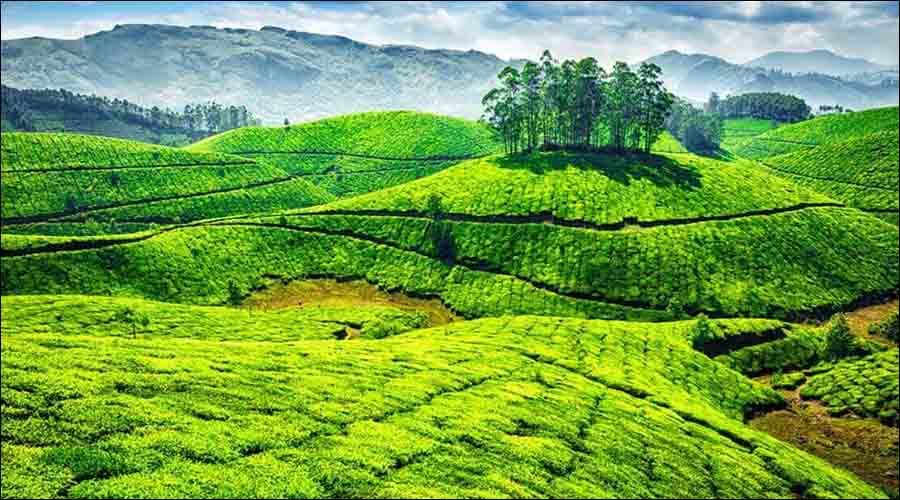 Munnar