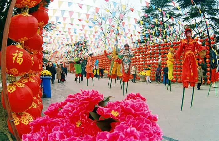 Chongyang Festival