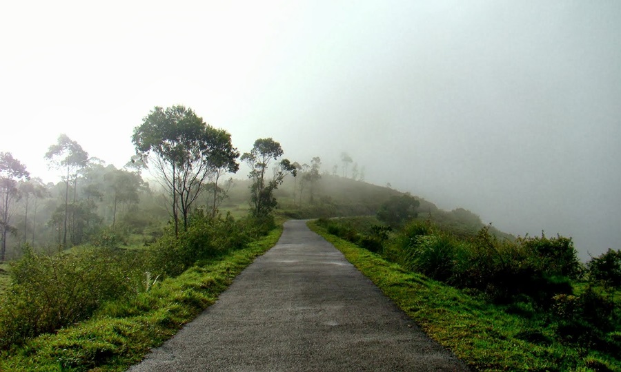 Gavi in Kerala