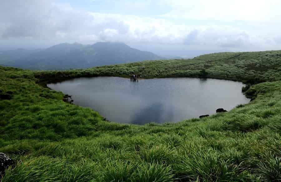 Chembra Lake, Wayanad