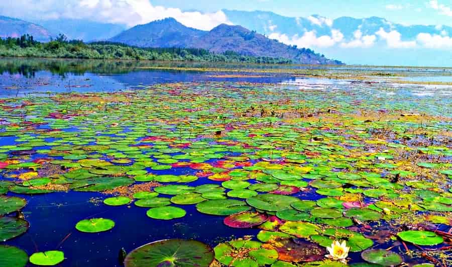 Wular Lake