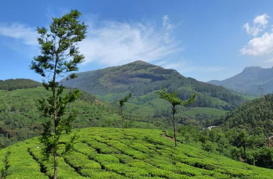 Anamudi, Munnar