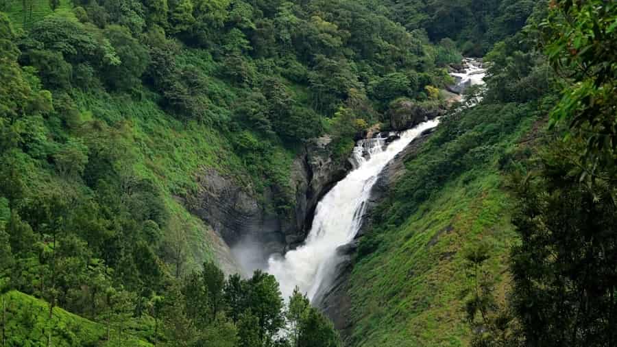 Attukad Waterfalls, Munnar