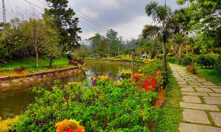 Blossom Park, Munnar