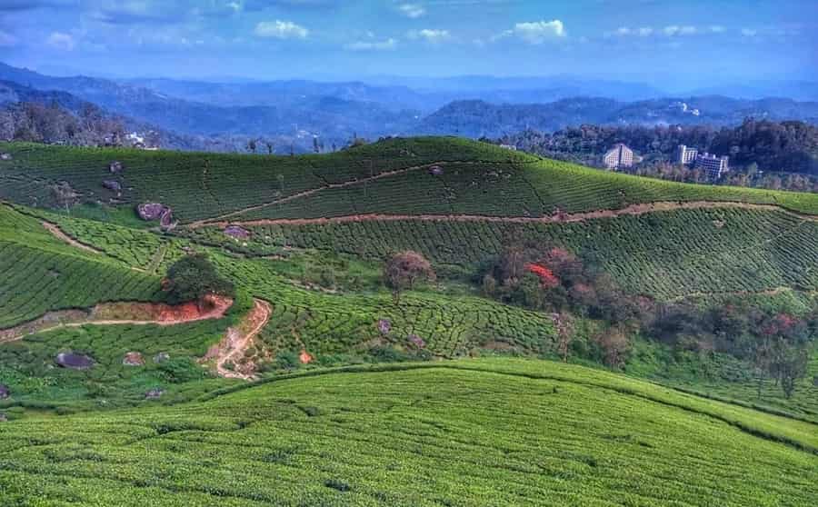 Devikulam Hill Station