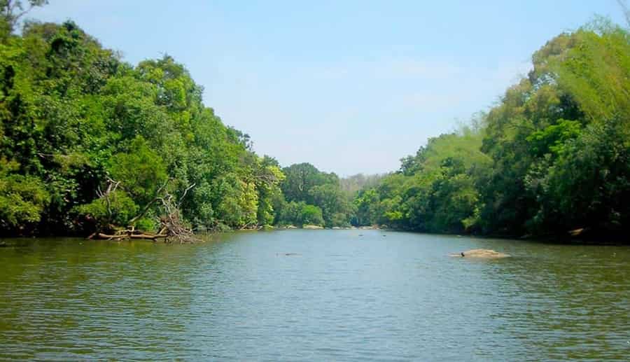 Kuruva Island