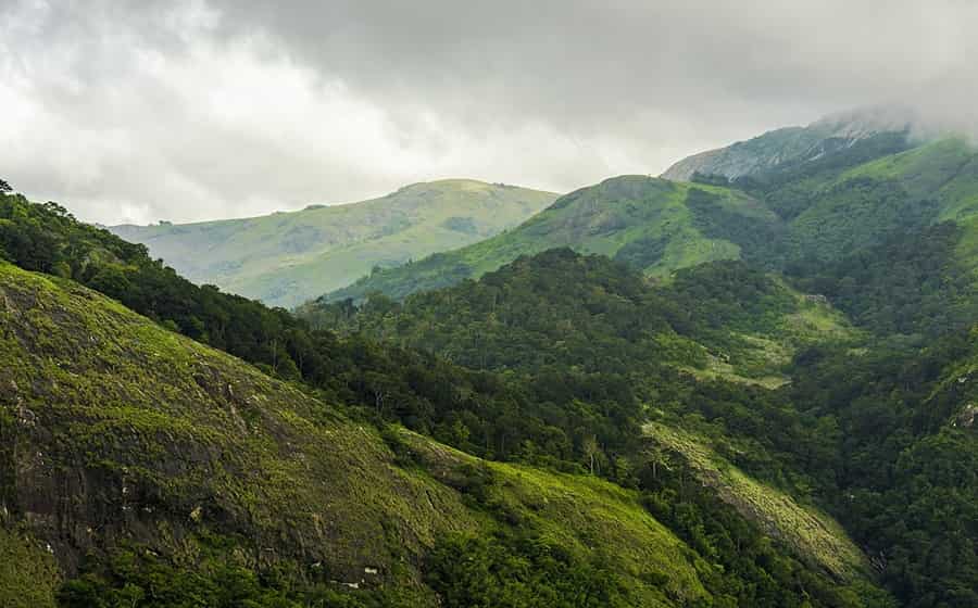 Nelliyampathy Hill Station