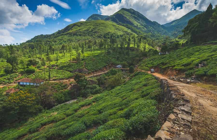 Painavu Hill Station