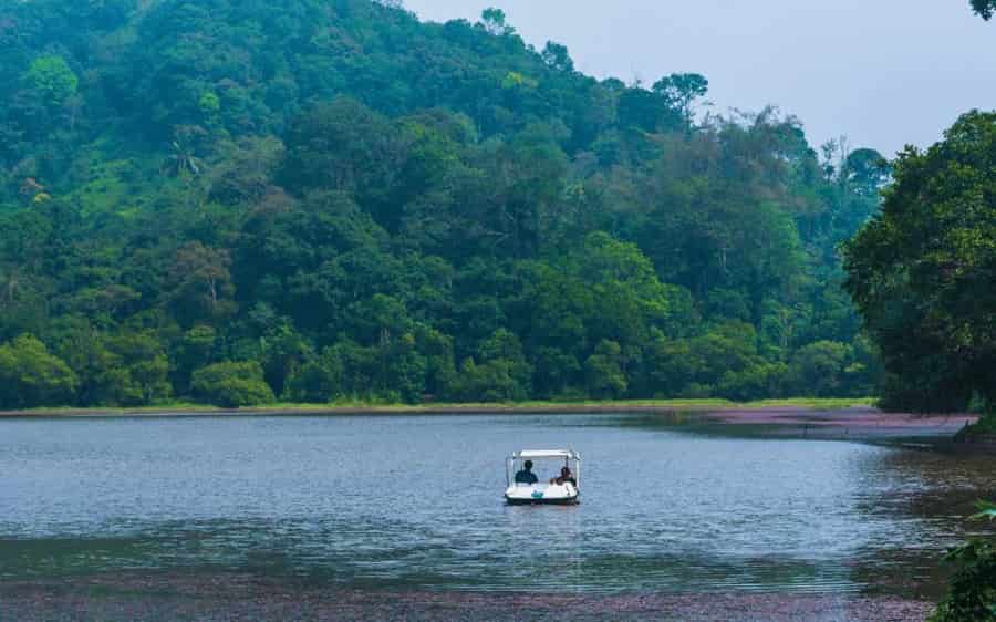 Pookode Lake