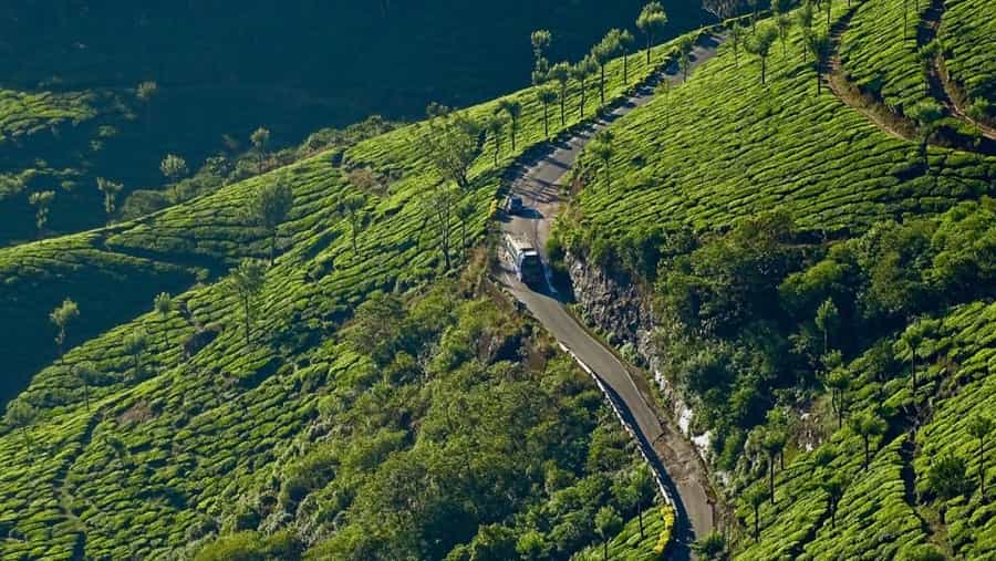 Pothamedu View Point, Munnar