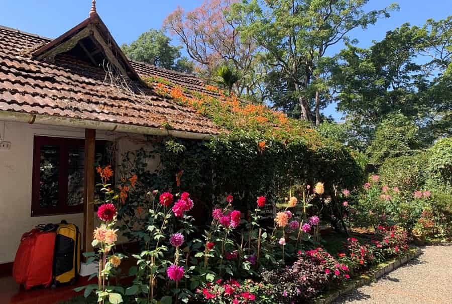 Rose Garden Homestay, Munnar