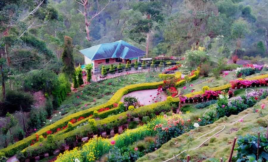 Rose Garden, Munnar