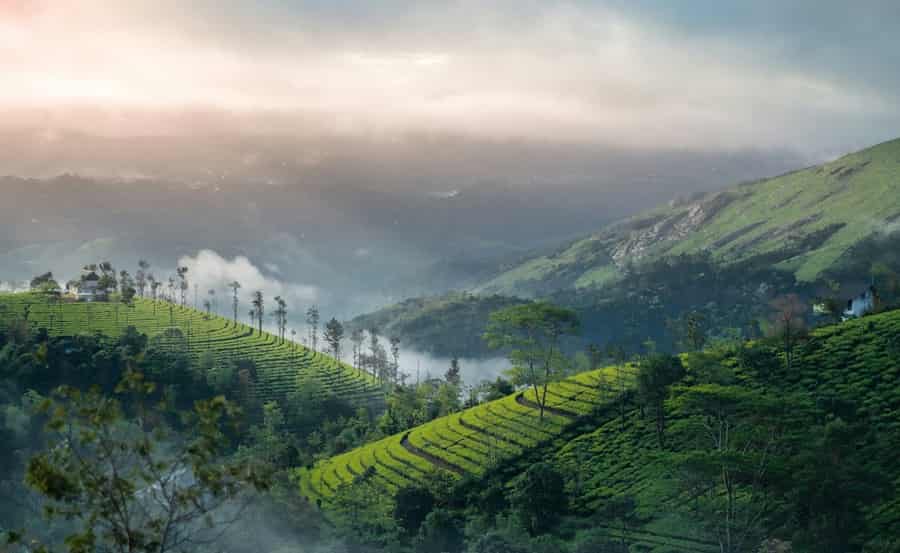 Vagamon Hill Station