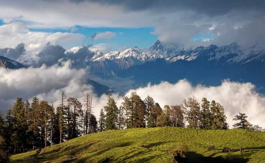 Dayara Bugyal Trek