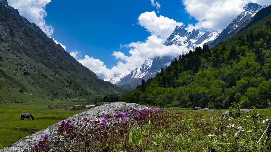 Har Ki Dun Trek