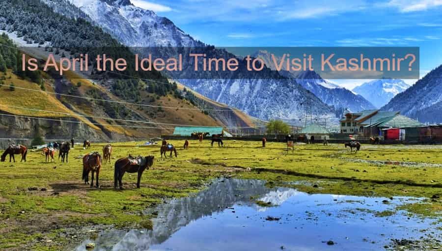 Time to Visit Kashmir