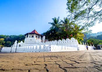 Galle Kandy Bentota Colombo Tour Package