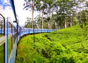 Nuwara Eliya Sightseeing Tour Package