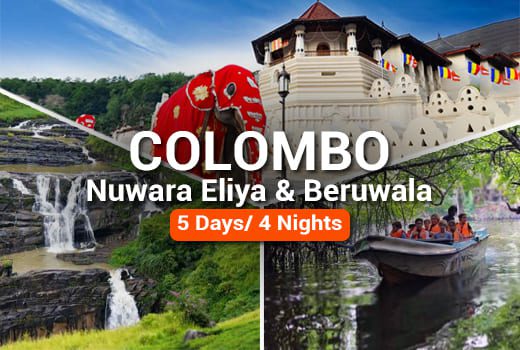 Colombo Nuwara Eliya Beruwala Tour