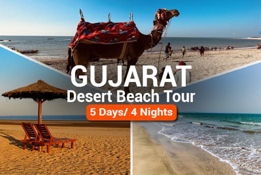 Gujarat Desert Beach Tour Package