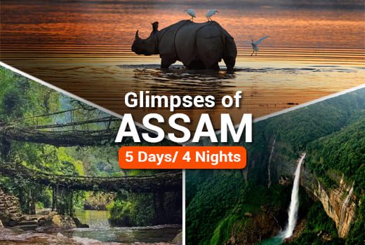 Glimpses of Assam Tour Package