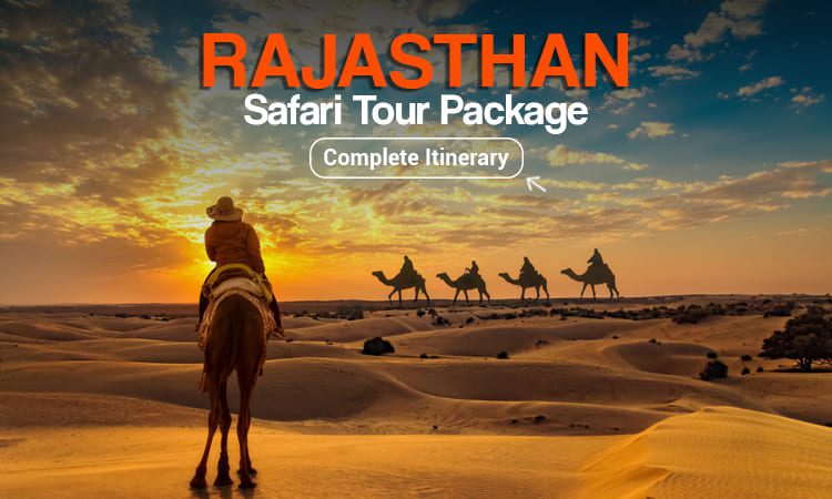 Rajasthan Safari Tour Package