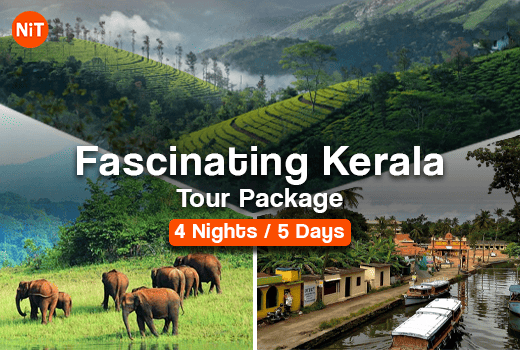 Fascinating Kerala Tour Package