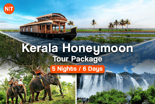 Kerala Honeymoon Tour Package