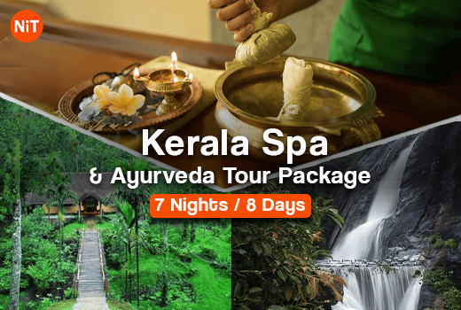 Kerala Spa Ayurveda Tour Package