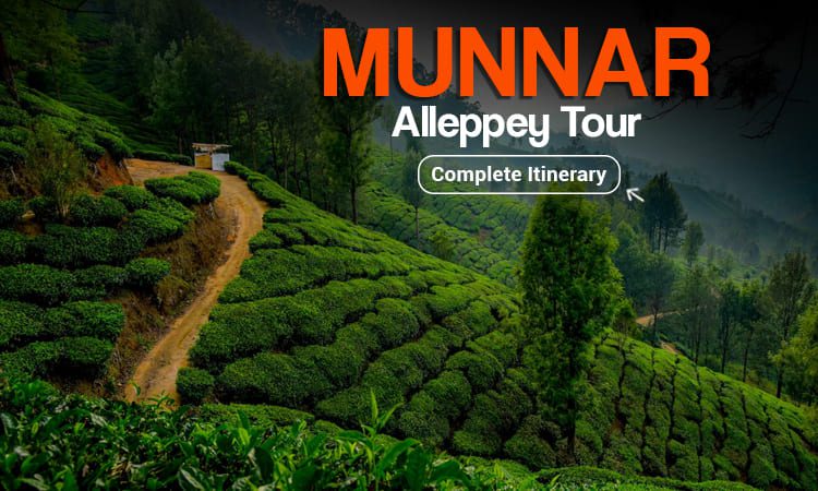 Munnar Alleppey Tour Package