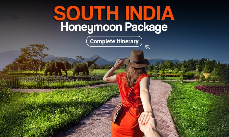 South India Honeymoon Package