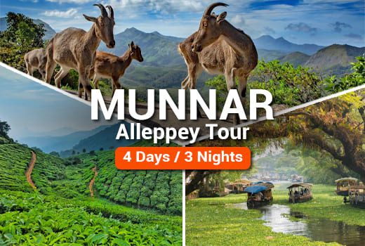 Munnar Alleppey Tour Package